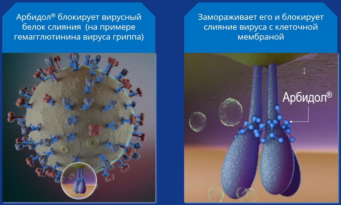 Что НЕ говорит доказательная медицина про умифеновир и что сказал ВОЗ?, фото 1